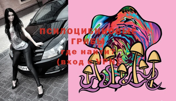 гидра Алзамай