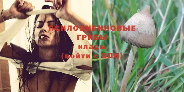 винт Абаза
