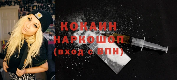 винт Абаза