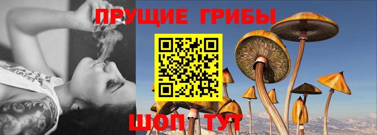 Галлюциногенные грибы ЛСД Ишимбай